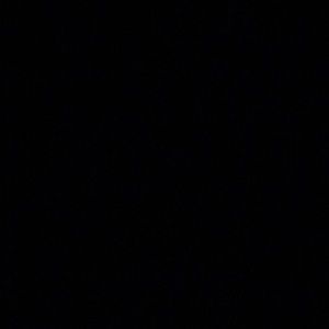 Meet your Posher, Kheli